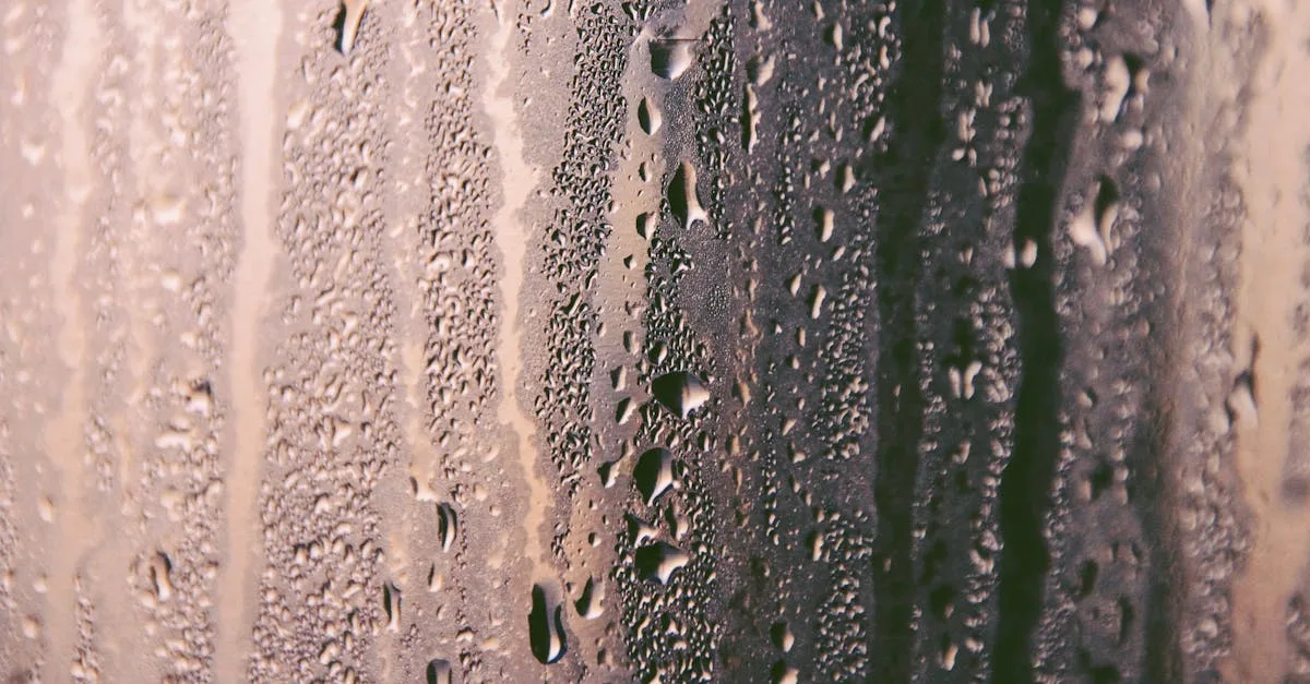 peinture anti-condensation efficace pour prévenir l'humidité et les moisissures sur vos murs. idéale pour améliorer la qualité de l'air intérieur et protéger vos surfaces.