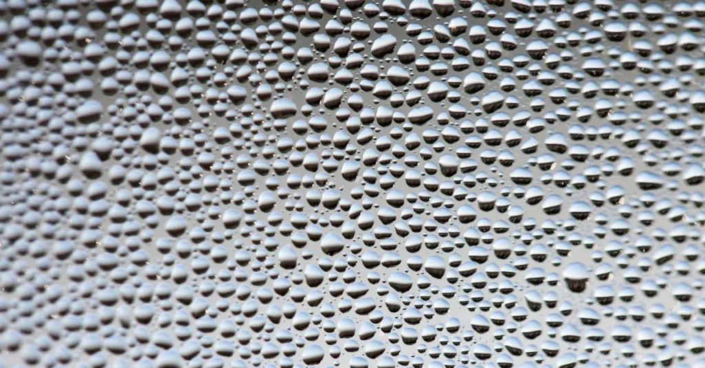 peinture anti-condensation efficace pour prévenir l'humidité et les moisissures sur vos murs. idéale pour toutes les surfaces intérieures et extérieures.