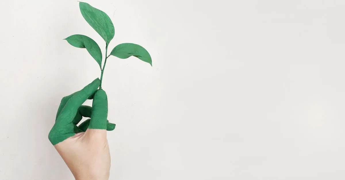 peinture écologique : choix durable et respectueux de l'environnement pour des espaces sains et naturels.