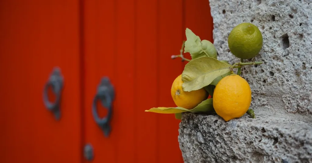 découvrez la peinture à la chaux : écologique, naturelle et idéale pour des finitions décoratives et respirantes. parfaite pour redonner vie à vos murs avec une touche authentique.