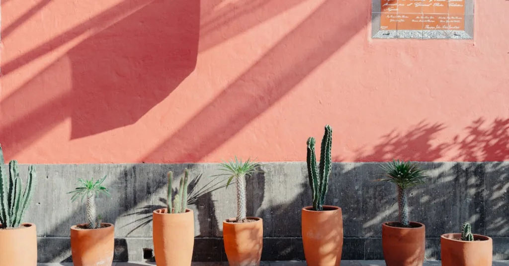 découvrez notre peinture terracotta mate, idéale pour apporter une touche chaleureuse et élégante à vos murs avec une finition douce et sans reflet.