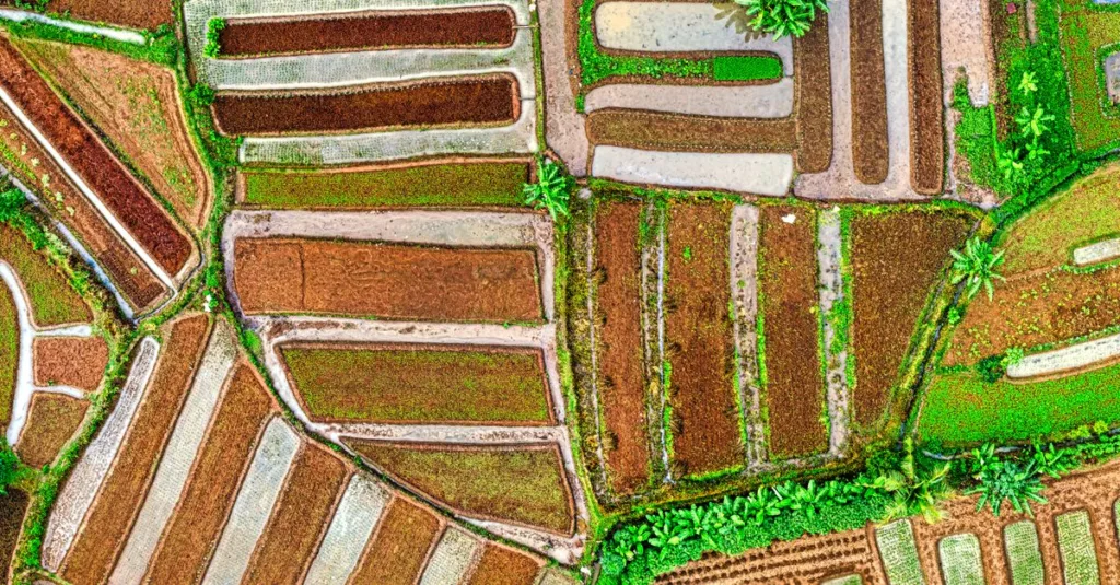 découvrez l'agriculture écologique, une méthode durable qui respecte l'environnement en favorisant la biodiversité, la santé des sols et la réduction des produits chimiques.