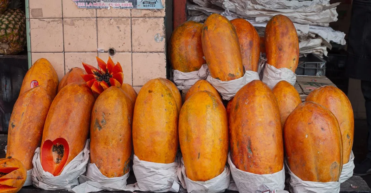 découvrez la saveur unique et rafraîchissante de l'orange mexicaine, un fruit aux arômes intenses et à la douceur naturelle, parfait pour vos recettes et boissons.