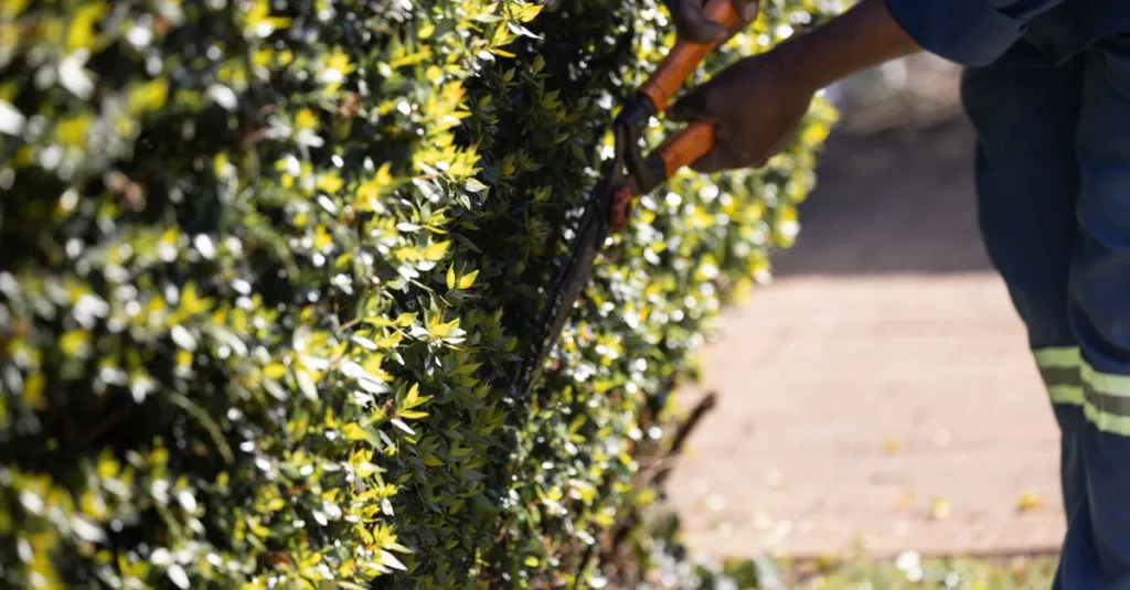 découvrez nos conseils et techniques efficaces pour la taille des plantes et arbres afin de favoriser leur croissance et leur santé.