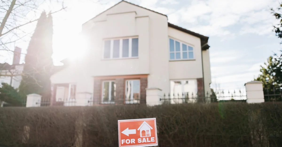 découvrez des conseils incontournables pour l'achat immobilier et faites le meilleur choix pour votre futur logement.